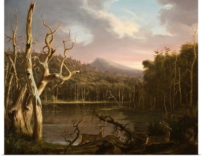 Lake with Dead Trees (Catskill)
