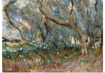 Landscape, Corfu, 1909