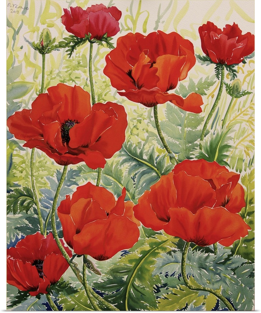 Contemporary painting of a patch of blooming red poppies.