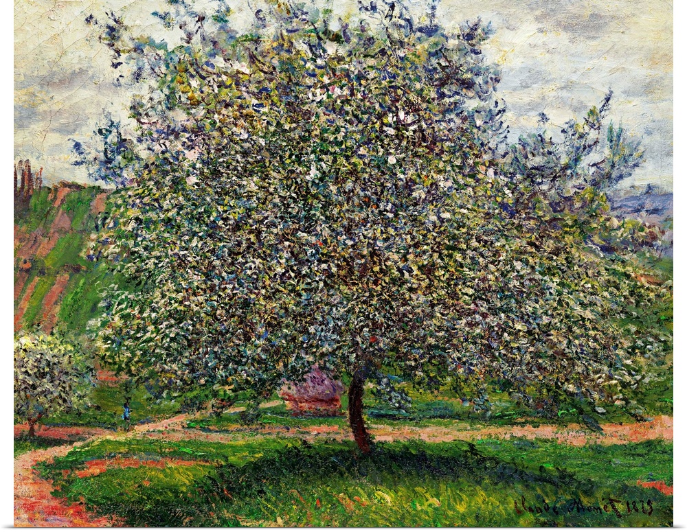 Le Pommier, 1879 (originally oil on canvas) by Monet, Claude (1840-1926)
