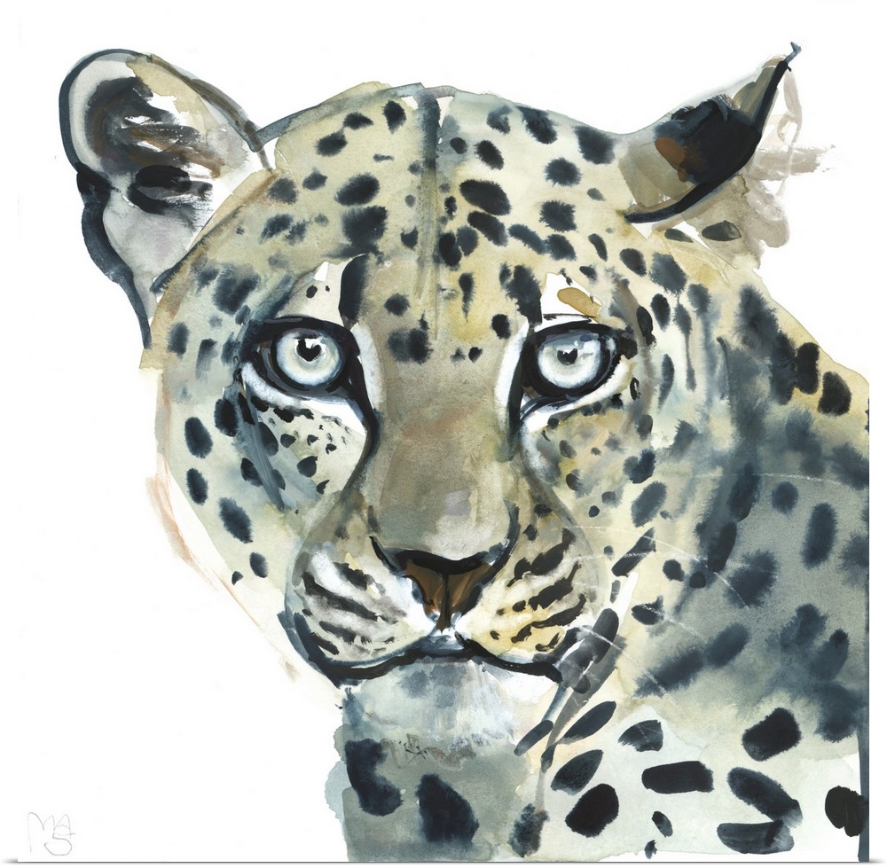 Leopard, 2015, watercolour on paper.  By Mark Adlington.