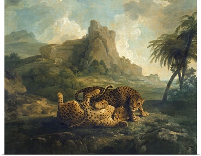 Leopards at Play, c.1763 8