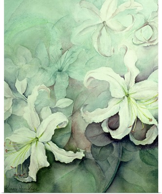 Lilies, white Auratum