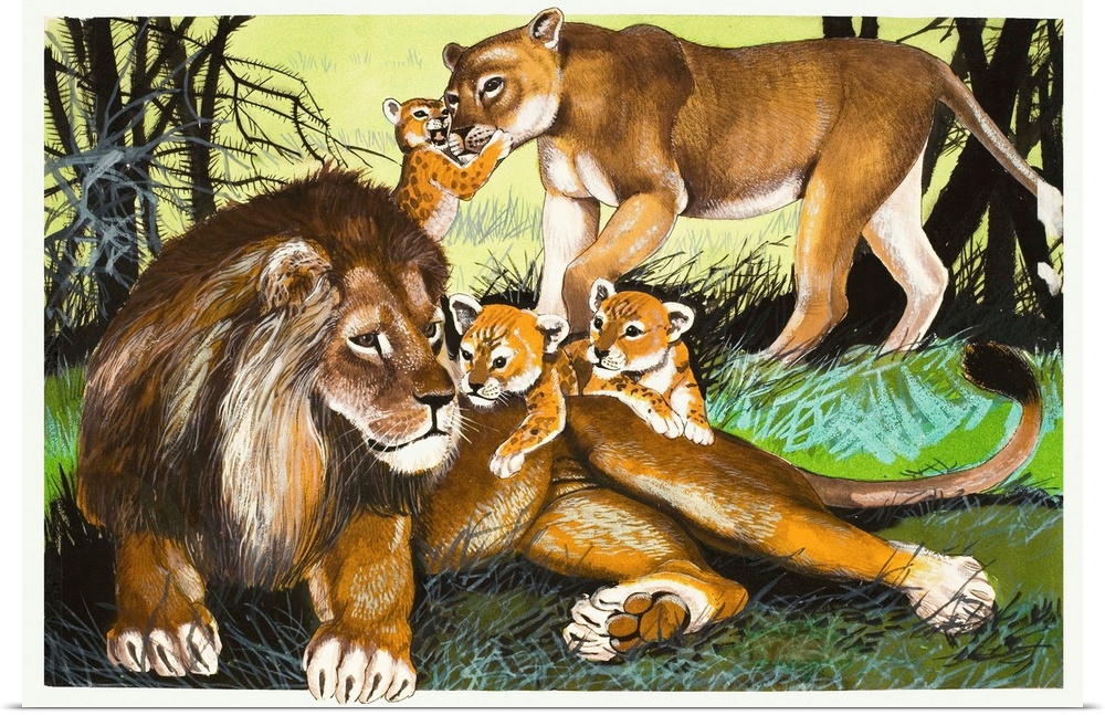 Lion, lioness and cubs. Original artwork.