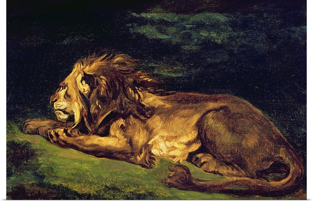 Lion Resting