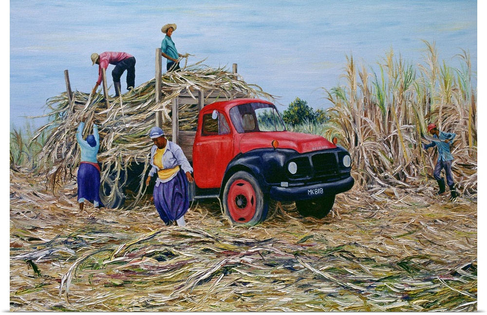 Oil painting on canvas of five people loading canes onto a truck in the middle of a field.