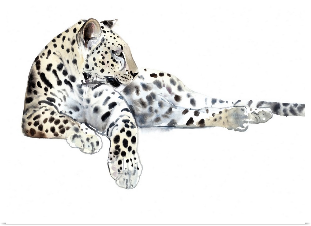 Long, Arabian Leopard, 2015, watercolour and gouache on paper.  By Mark Adlington.