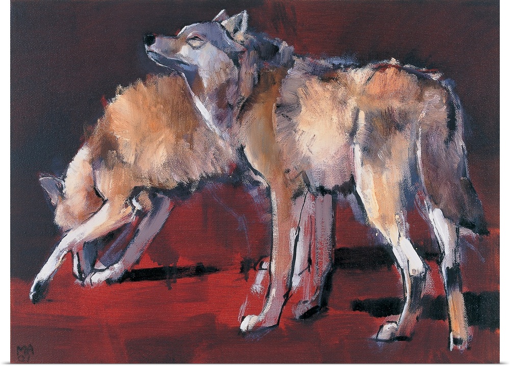Loups, 2001