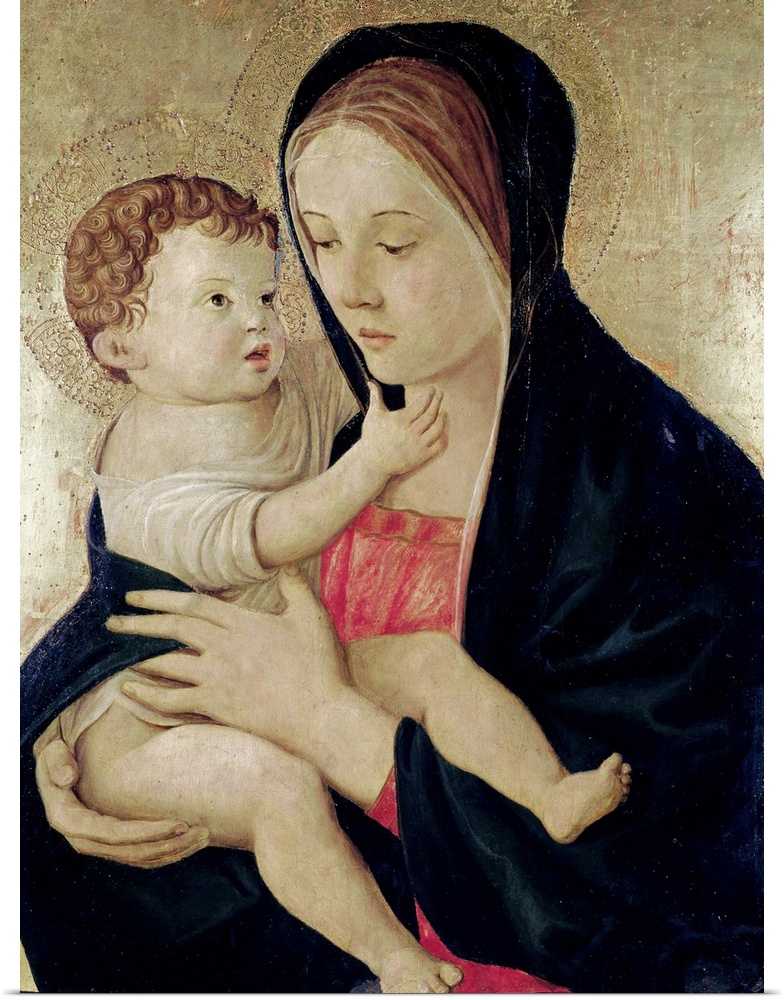 XIR162605 Madonna and Child, c.1475 (tempera on panel) by Bellini, Giovanni (c.1430-1516)