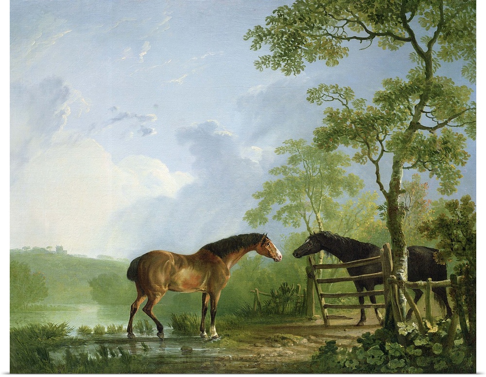 BAL226691 Mare and Stallion in a Landscape (oil on canvas)  by Gilpin, Sawrey (1733-1807); 63.5x76.2 cm; Private Collectio...