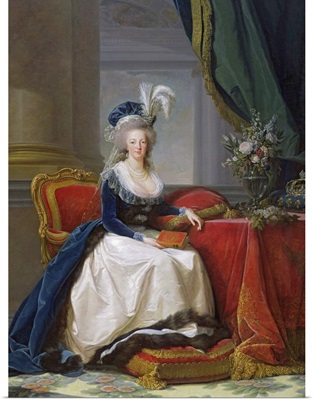Marie-Antoinette (1755-93) 1788