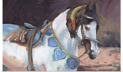 Marwari Horse II