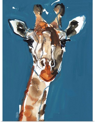 Masai Giraffe, 2018