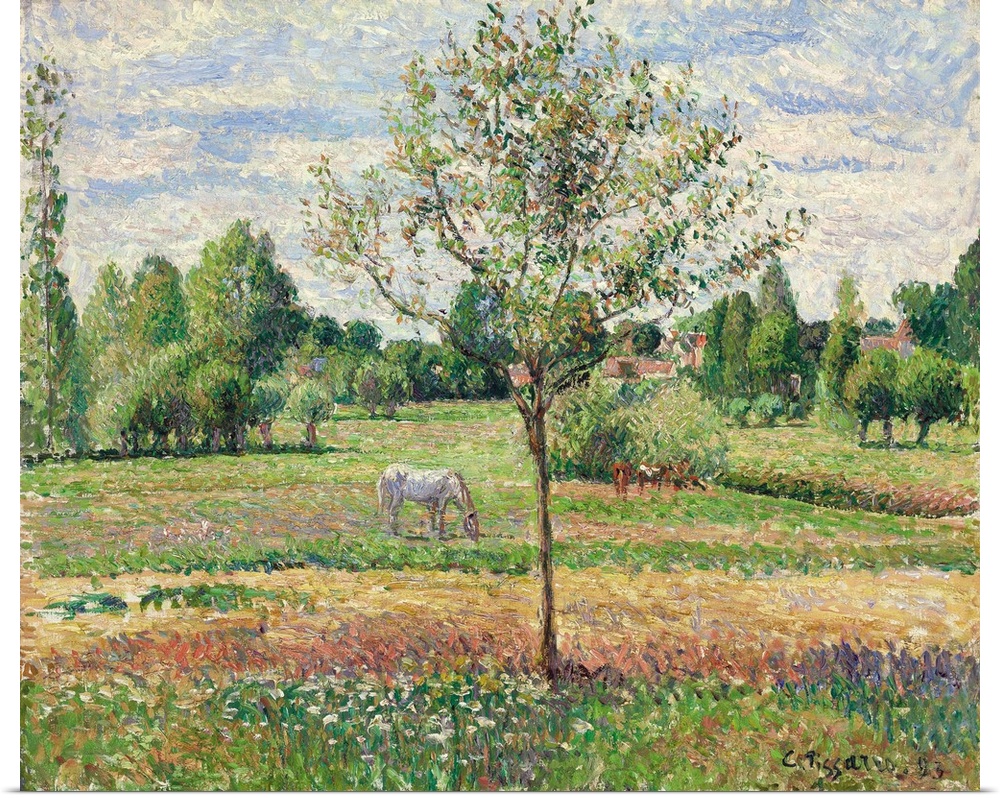 Meadow with Grey Horse, Eragny, 1893