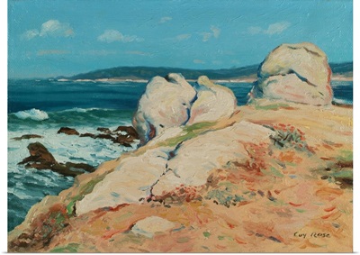 Monterey Coast