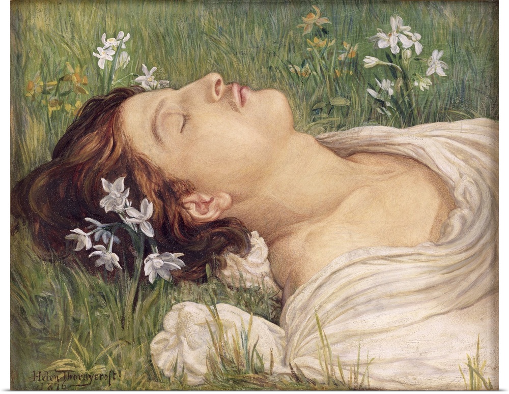 Narcissus, 1876