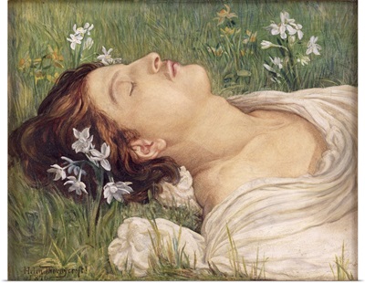Narcissus, 1876