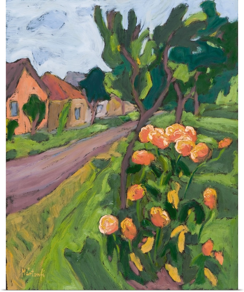 Neighbour's Roses, 2008