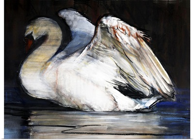 Night Swan, 2022
