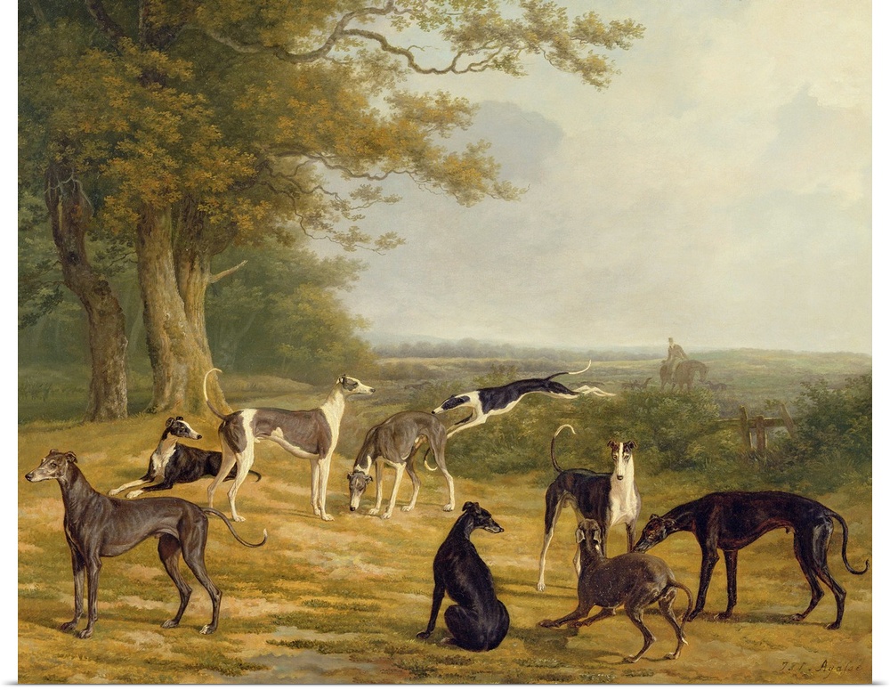 Nine Greyhounds in a Landscape