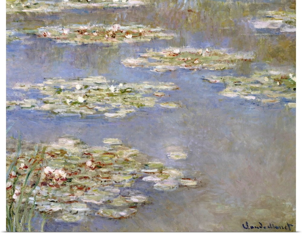 Nympheas, c.1905 (oil on canvas) by Claude Monet (1840-1926) Private Collection, The Bridgeman Art Library, Nationality: F...