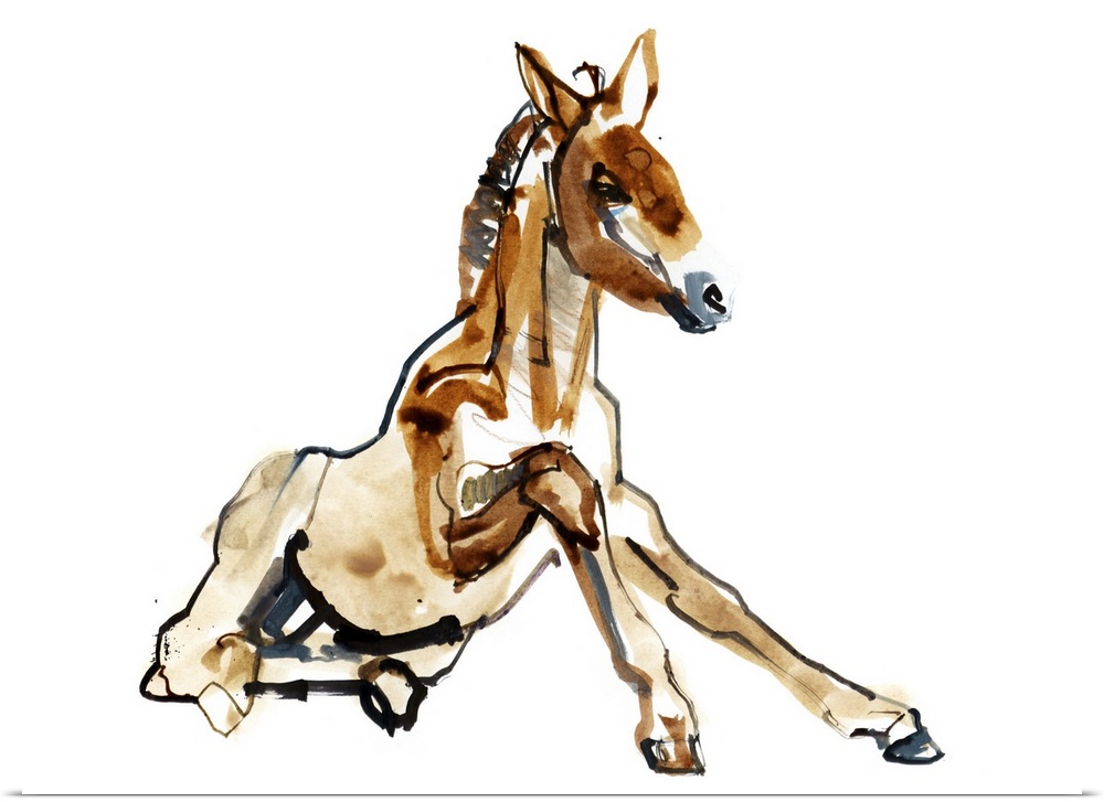Contemporary artwork of a young Mongolian Przewalski horse trying to stand for the first time against a white background.