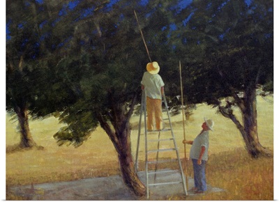 Olive Pickers, 1985