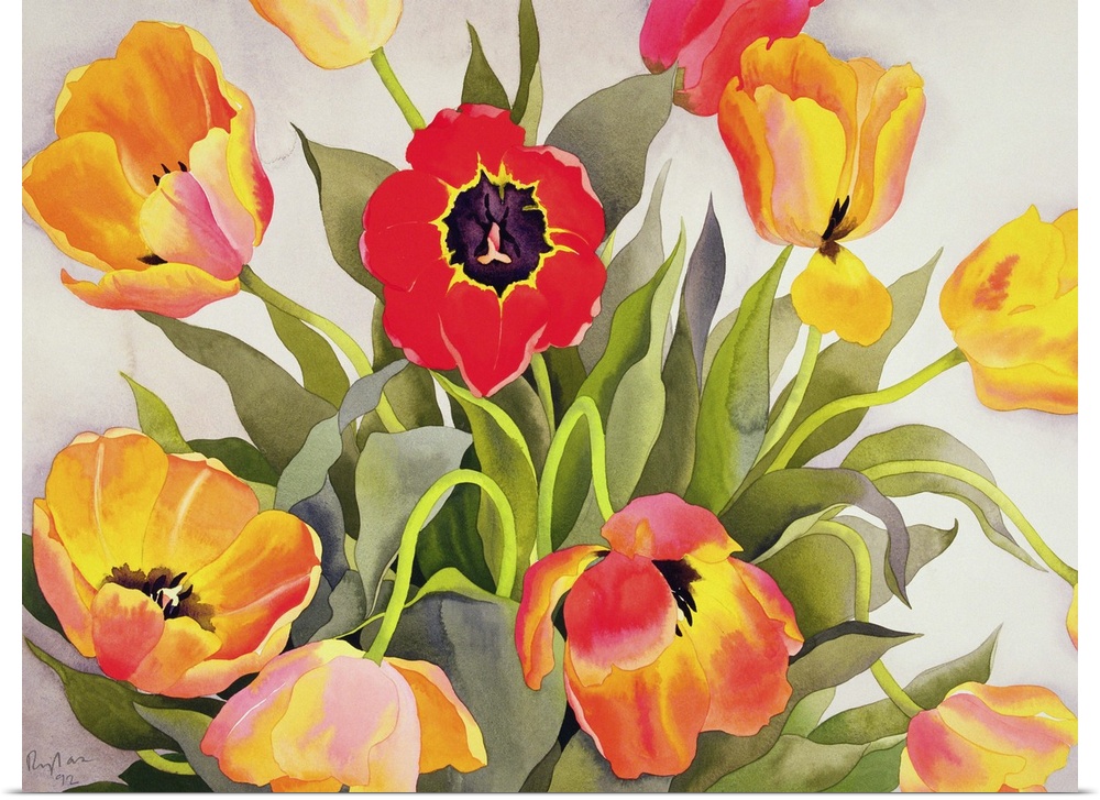 Orange and Red Tulips