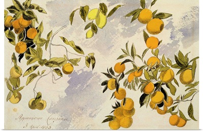 Orange Trees, 1863