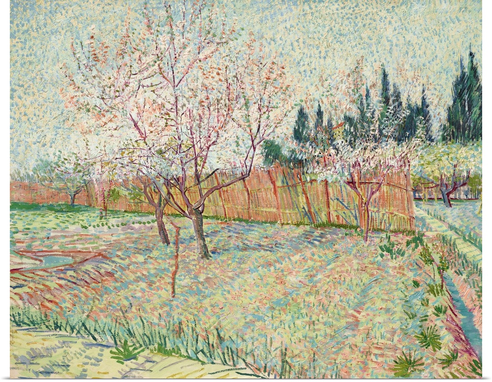 Orchard With Cypresses, 1888