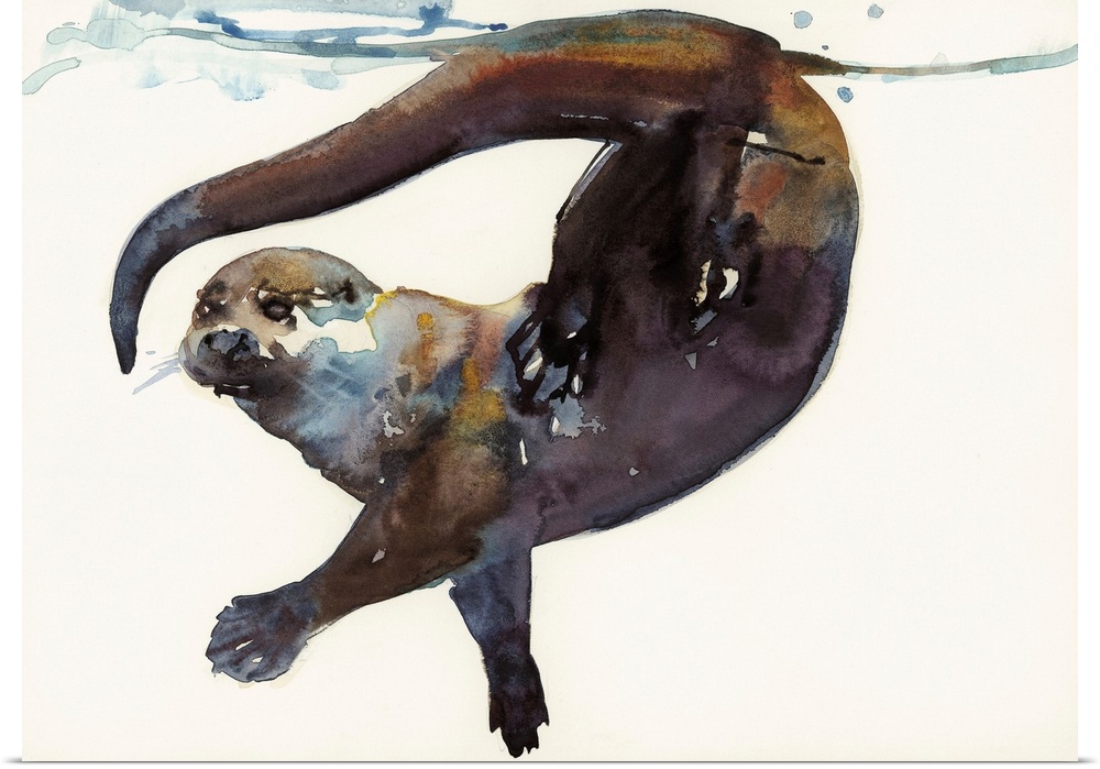 Watercolor painting of a river otter playing underwater, near the surface.