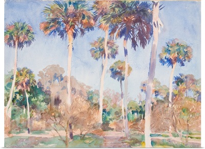 Palms, 1917