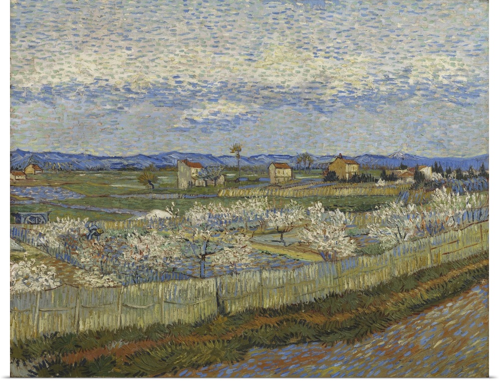 Peach Trees In Blossom, 1889