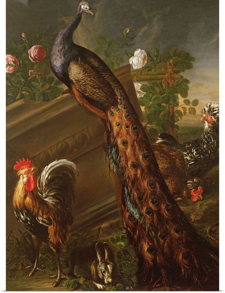 BAL22763 Peacock and Cockerels, 17th century by Koninck, David de (1636-99); Cadogan Gallery, London, UK; Flemish,  out of...