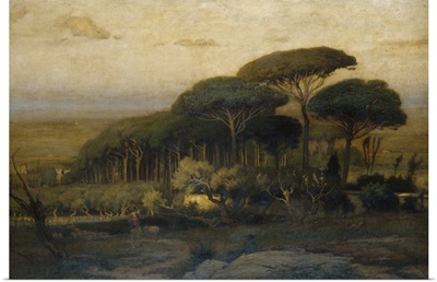 Pine Grove Of The Barberini Villa, 1876