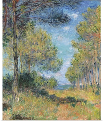 Pine Tree Path At Varengeville (Allee De Sapins Varengeville), 1882