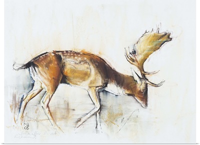 Pisanello Buck, 2006