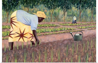 Planting Onions, 2005