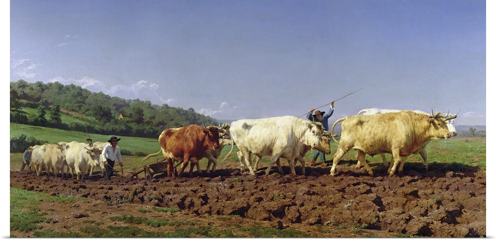 XIR201656 Ploughing in Nivernais, 1849 (oil on canvas)  by Bonheur, Rosa (1822-99); 134x260 cm; Musee d'Orsay, Paris, Fran...