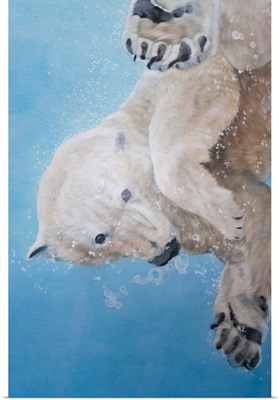 Polar Bear Ballet, Detail, 2012