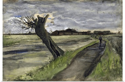 Pollard Willow (Saule Tetard), 1882