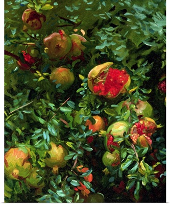 Pomegranates, Majorca, c.1908