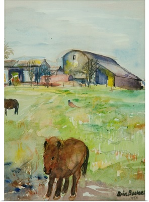 Pony In The Farm Meadow, East Green, 1980
