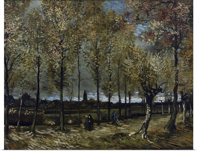 Poplars Near Nuenen, Netherlands, 1885