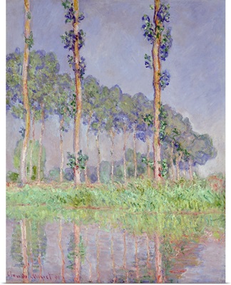 Poplars, Pink Effect, 1891