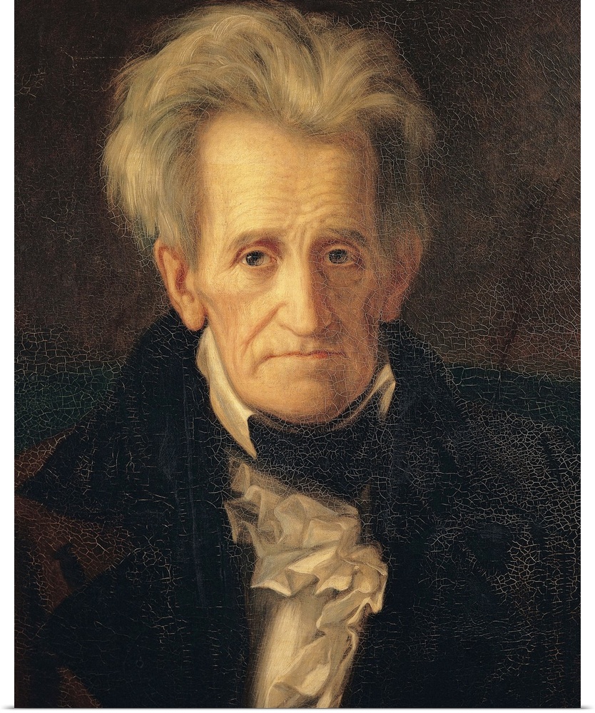 XIR349727 Portrait of Andrew Jackson (oil on canvas)  by Healy, George Peter Alexander (1808-94); Musee Franco-Americaine,...