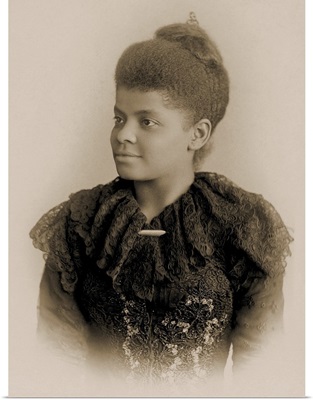 Portrait Of Ida B. Wells Barnett, 1893