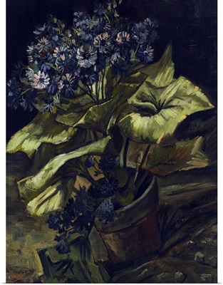 Pot De Cineraires (Cineraria In A Flowerpot), 1886