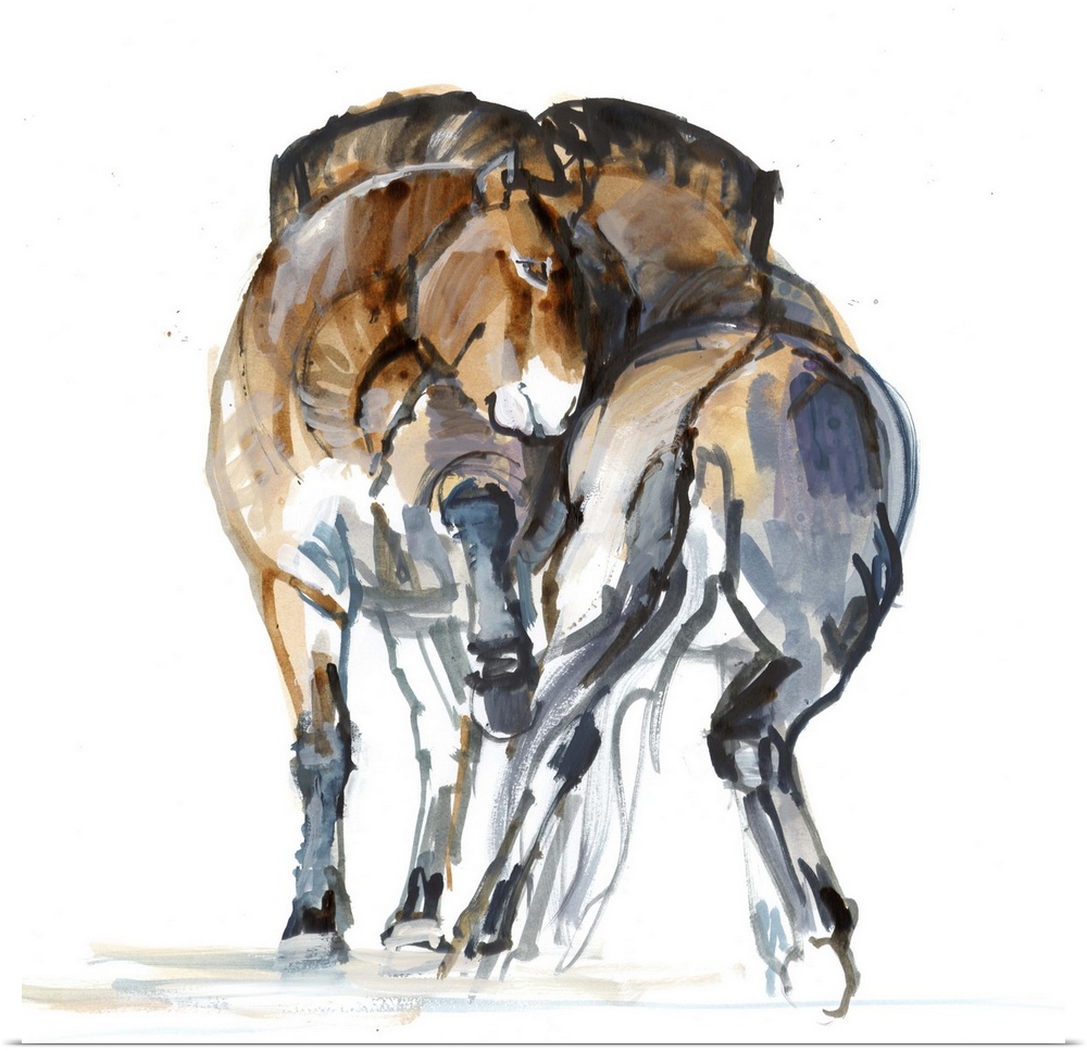 Contemporary artwork of two Mongolian Przewalski horses against a white background.
