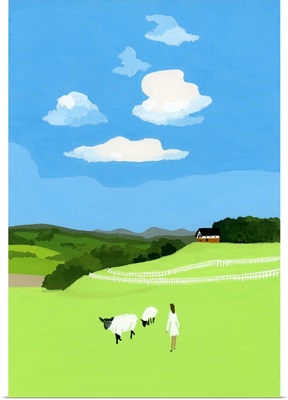 Prairie And Sheep